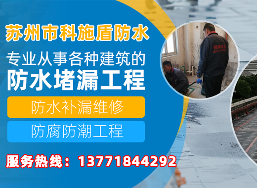 科施盾